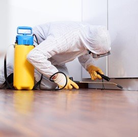 Commercial pest control